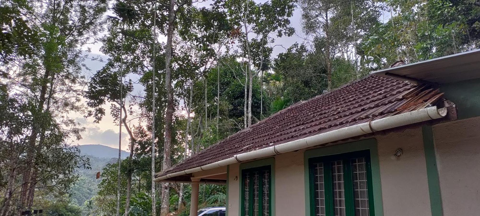 Coffee Camp Home Stay With Tree House Kattappana Exterior photo
