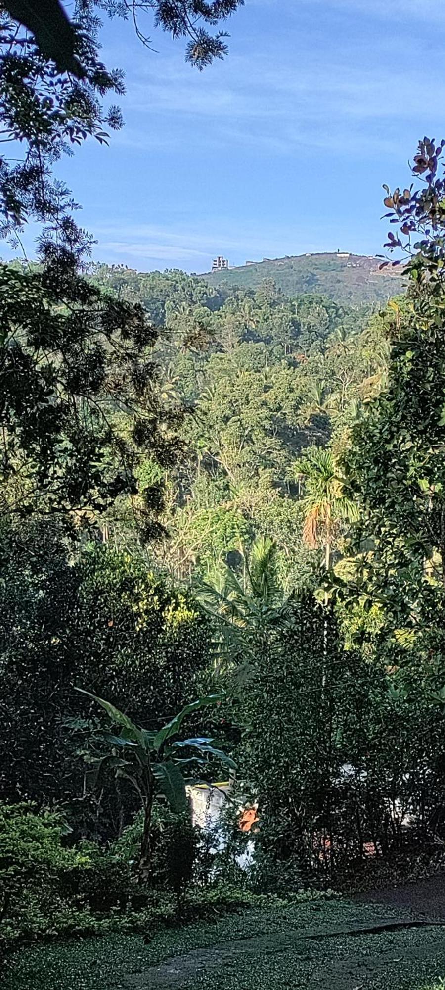 Coffee Camp Home Stay With Tree House Kattappana Exterior photo