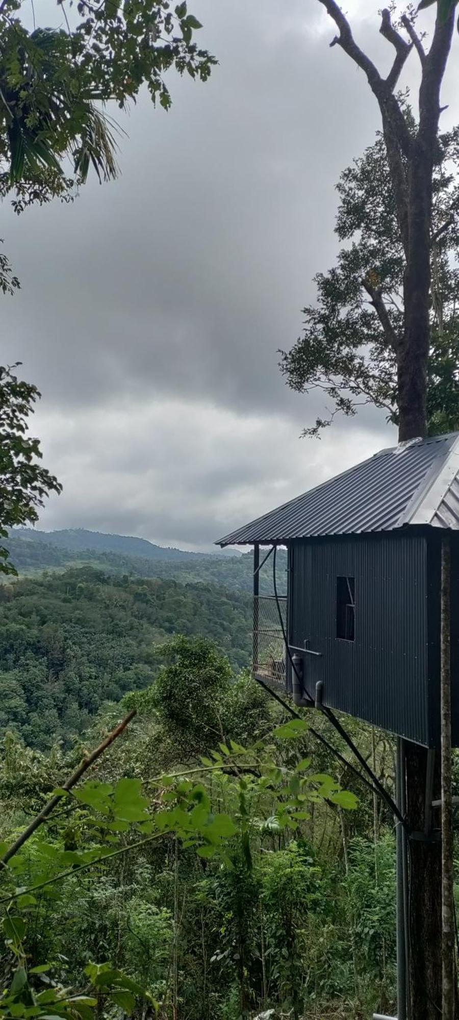 Coffee Camp Home Stay With Tree House Kattappana Exterior photo