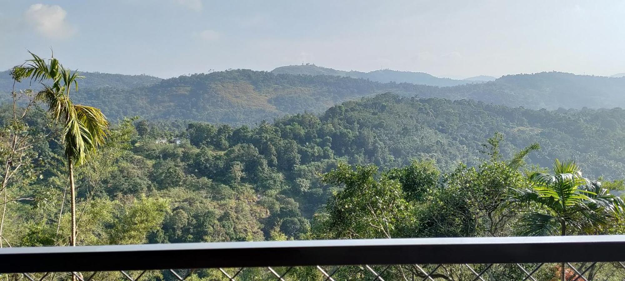 Coffee Camp Home Stay With Tree House Kattappana Exterior photo